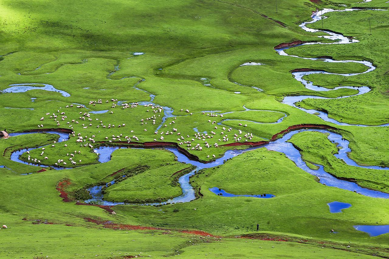 Belen Yayla Otel Aybasti Bagian luar foto